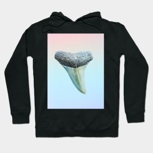 Pink and Blue Ombre Shark Tooth Fossil Print Hoodie